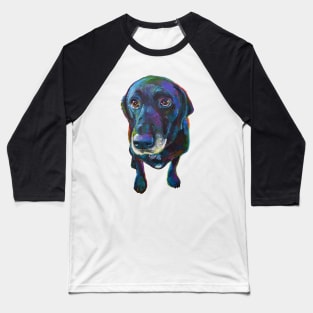 Buddy the Black Labrador Baseball T-Shirt